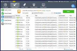 Showing the advanced cleaner in WiseCare 365 Pro